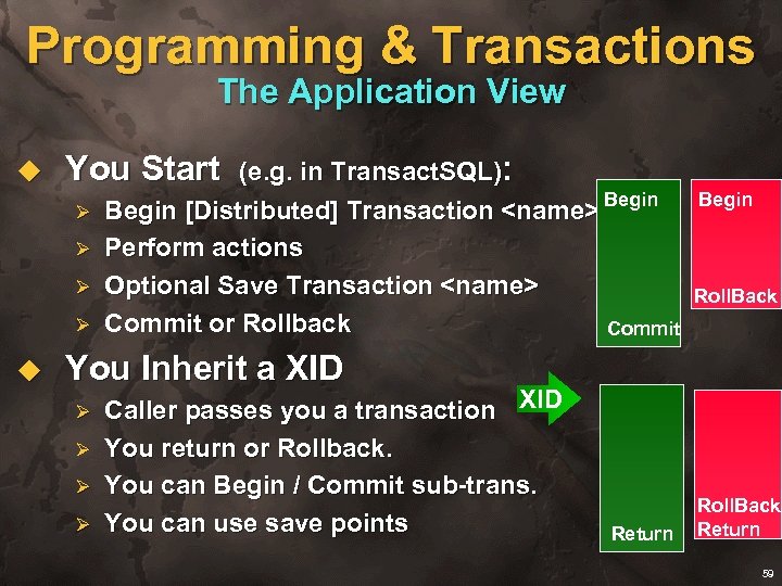 Programming & Transactions The Application View u You Start (e. g. in Transact. SQL):