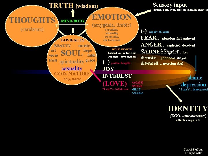 Sensory input TRUTH (wisdom) THOUGHTS MIND/BODY (cerebrum) EMOTION (amygdala, limbic) LOVE ACTS BEAUTY music