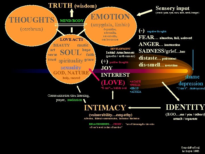 TRUTH (wisdom) THOUGHTS Sensory input (touch / pain, eyes, ears, taste, smell, hunger) EMOTION