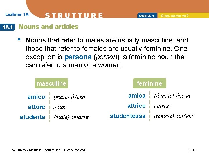  • Nouns that refer to males are usually masculine, and those that refer