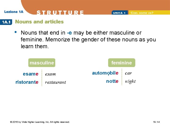 • Nouns that end in -e may be either masculine or feminine. Memorize