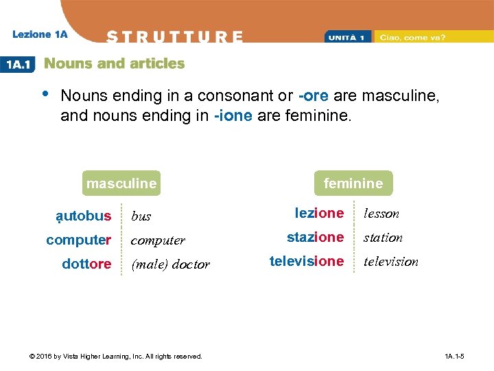  • Nouns ending in a consonant or -ore are masculine, and nouns ending