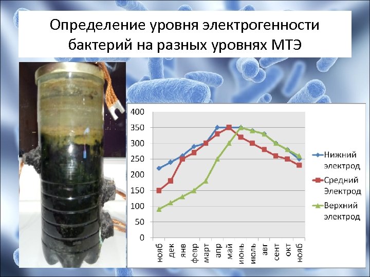 Определение уровня электрогенности бактерий на разных уровнях МТЭ 