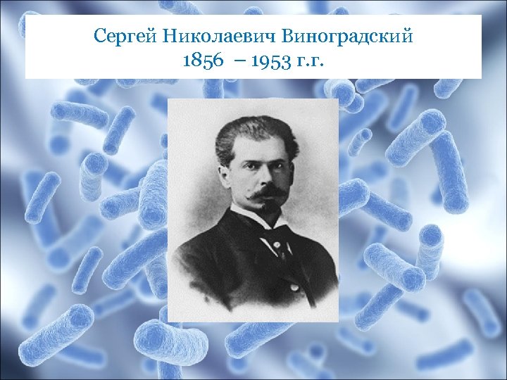 Сергей Николаевич Виноградский 1856 – 1953 г. г. 