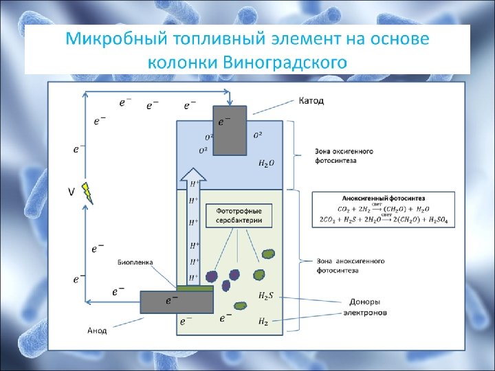 Схема топливного элемента