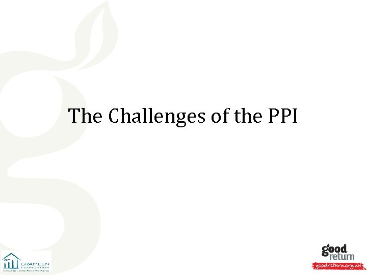 The Challenges of the PPI 