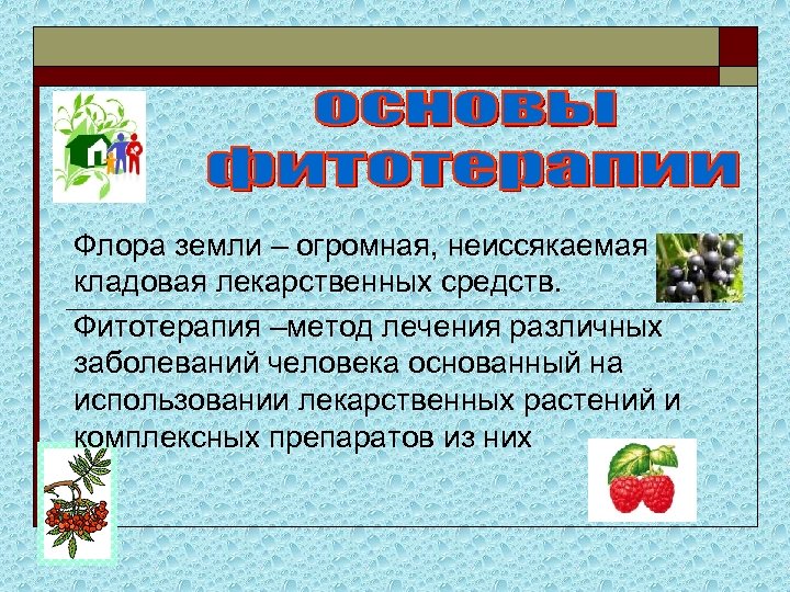Флора земли – огромная, неиссякаемая кладовая лекарственных средств. Фитотерапия –метод лечения различных заболеваний человека