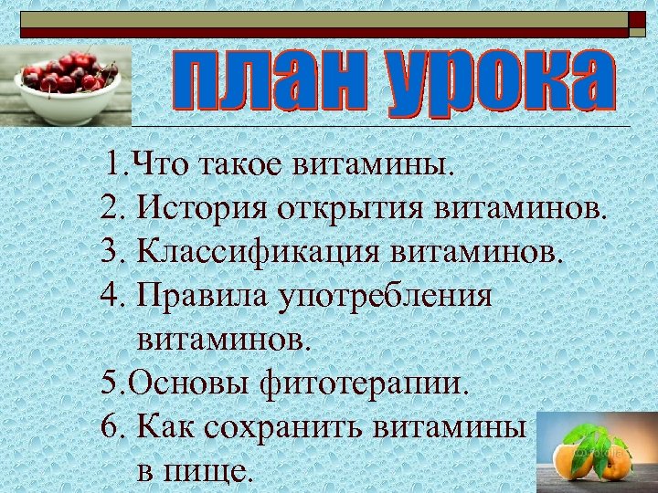 1. Что такое витамины. 2. История открытия витаминов. 3. Классификация витаминов. 4. Правила употребления