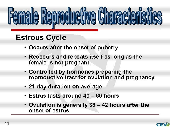 Estrous Cycle • Occurs after the onset of puberty • Reoccurs and repeats itself