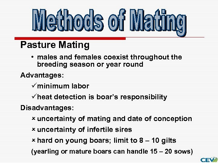 Pasture Mating • males and females coexist throughout the breeding season or year round