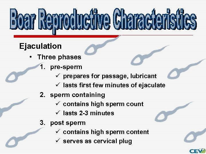 Ejaculation • Three phases 1. pre-sperm ü prepares for passage, lubricant ü lasts first
