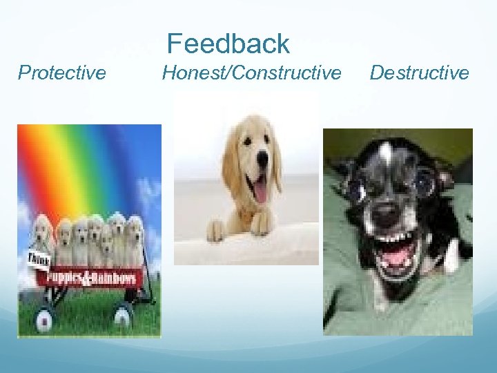 Feedback Protective Honest/Constructive Destructive 