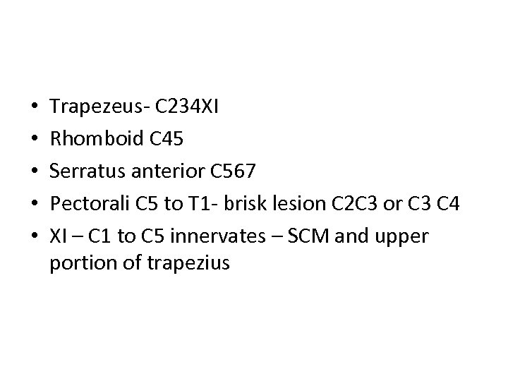  • • • Trapezeus- C 234 XI Rhomboid C 45 Serratus anterior C