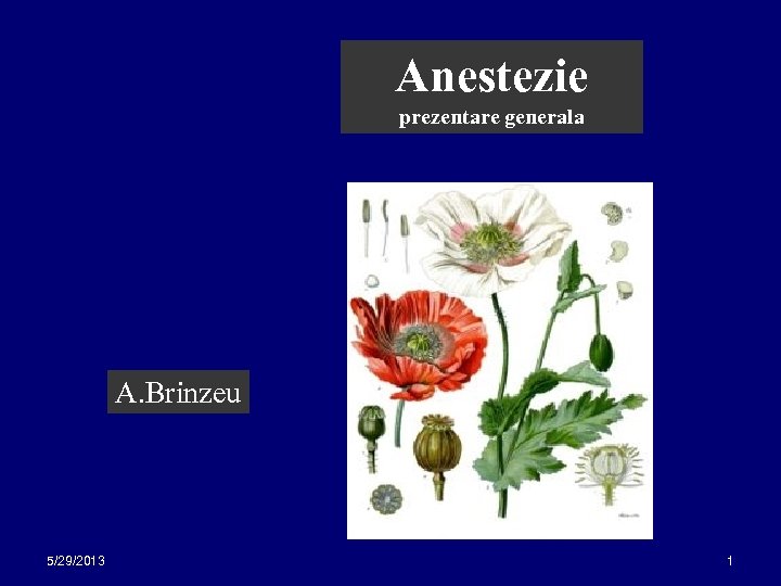 Anestezie prezentare generala A. Brinzeu 5/29/2013 1 