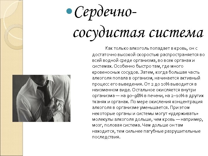  Сердечно- сосудистая система Как только алкоголь попадает в кровь, он с достаточно высокой