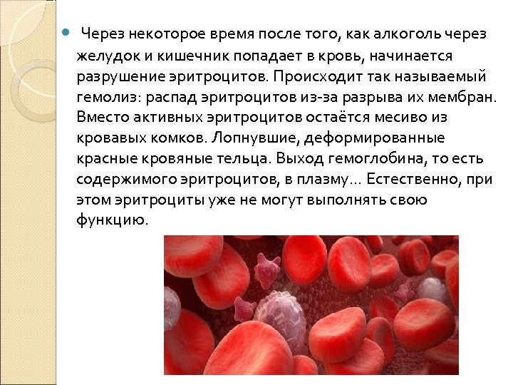  Через некоторое время после того, как алкоголь через желудок и кишечник попадает в