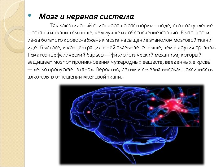 Функции головного мозга в нервной системе. Мозг и нервная система 3 класс по физкультуре. Вода и нервная система. Мозг и нервная система 4 класс по физкультуре. Сочинение на тему мозг.