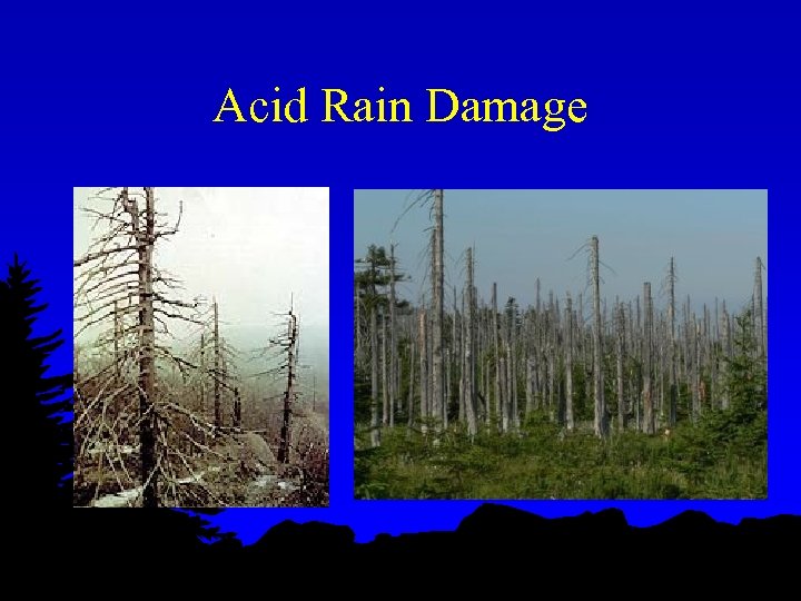 Acid Rain Damage 