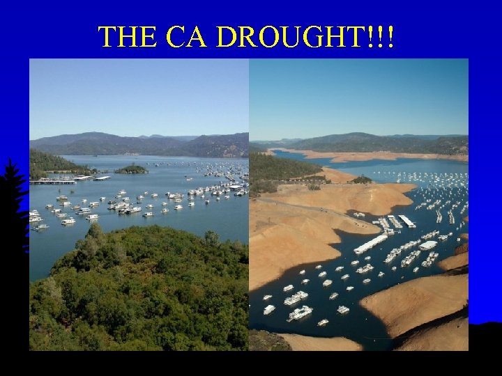 THE CA DROUGHT!!! 