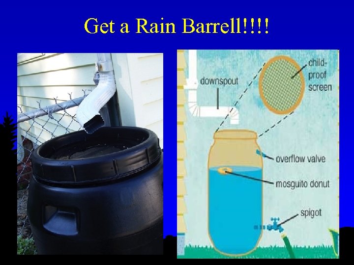 Get a Rain Barrell!!!! 