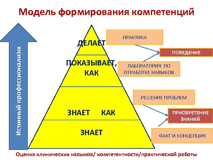 Создание компетенции