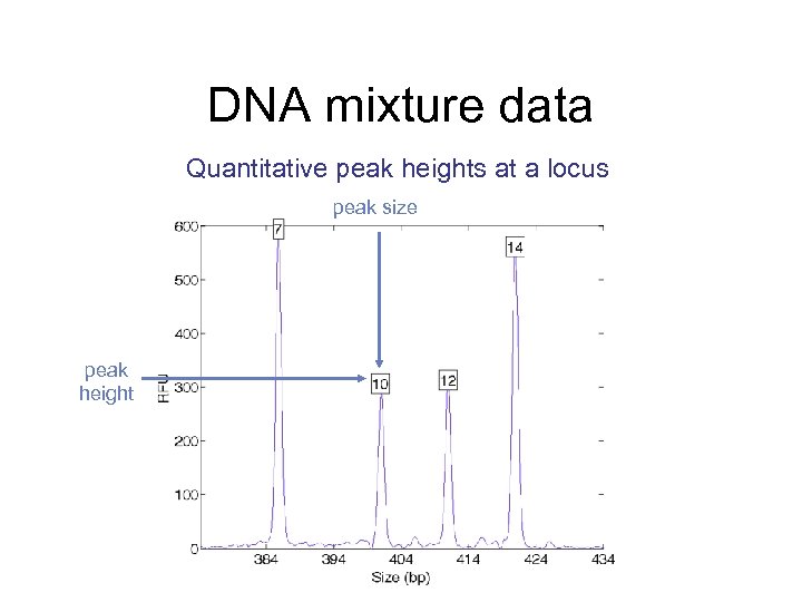 DNA mixture data Quantitative peak heights at a locus peak size peak height 