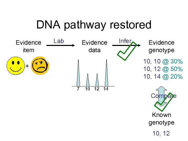 DNA pathway restored Evidence item Lab Evidence data Infer Evidence genotype 10, 10 @
