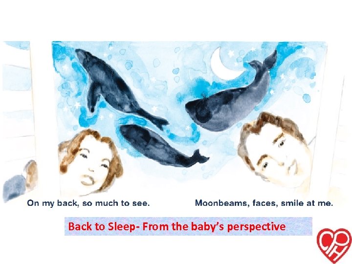 Back to Sleep- From the baby’s perspective 