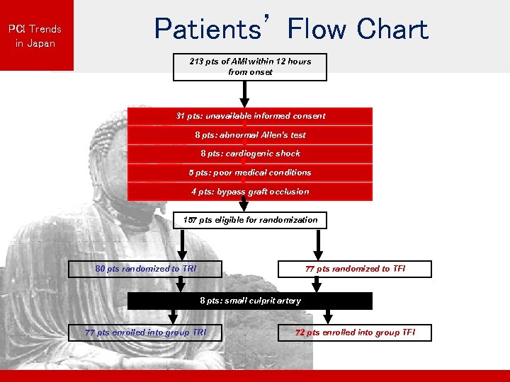 PCI Trends in Japan Patients’ Flow Chart 213 pts of AMI within 12 hours