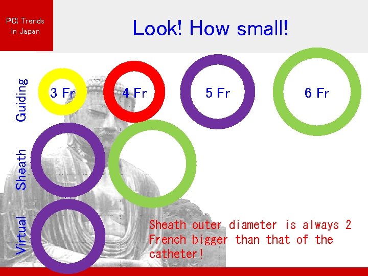 Look! How small! 3 Fr 4 Fr 5 Fr 6 Fr Virtual Sheath Guiding