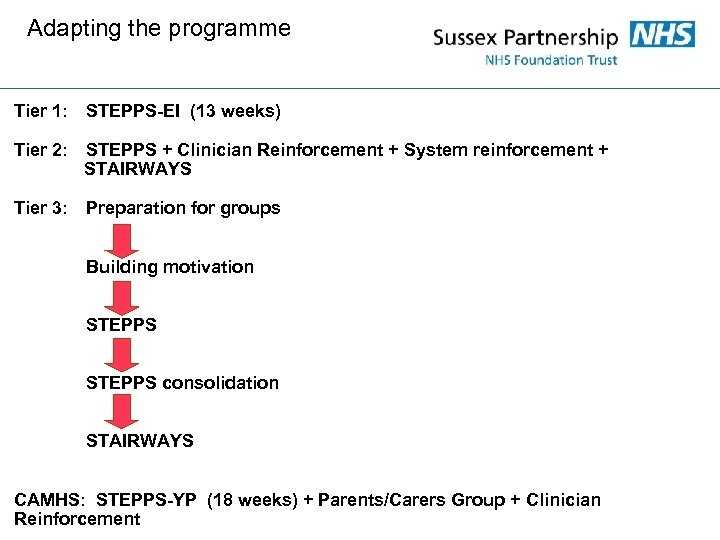 Adapting the programme Tier 1: STEPPS-EI (13 weeks) Tier 2: STEPPS + Clinician Reinforcement