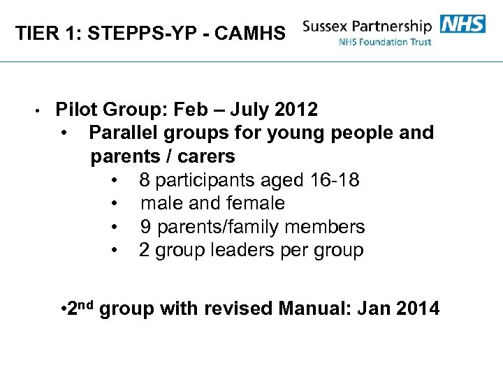 TIER 1: STEPPS-YP - CAMHS • Pilot Group: Feb – July 2012 • Parallel