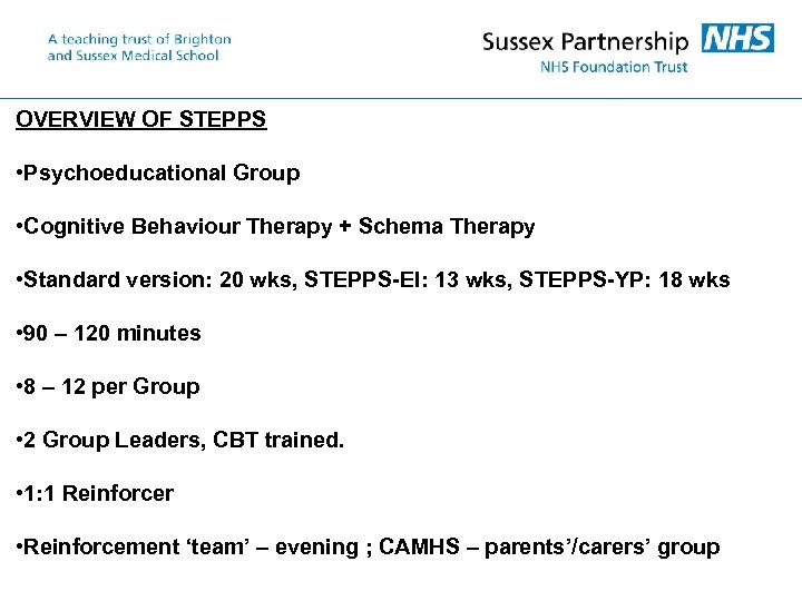 OVERVIEW OF STEPPS • Psychoeducational Group • Cognitive Behaviour Therapy + Schema Therapy •