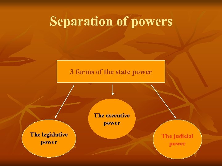 Separation of powers 3 forms of the state power The executive power The legislative
