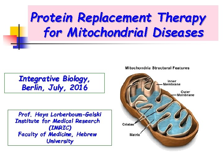 Protein Replacement Therapy for Mitochondrial Diseases Integrative Biology, Berlin, July, 2016 Prof. Haya Lorberboum-Galski