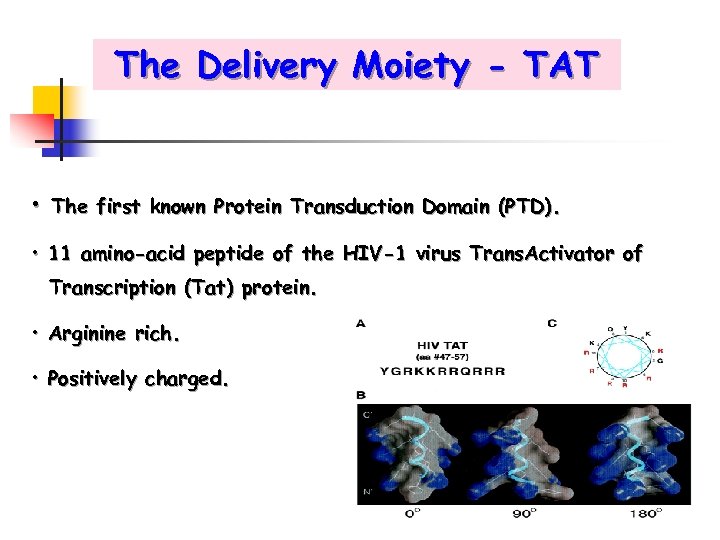 The Delivery Moiety - TAT • The first known Protein Transduction Domain (PTD). •