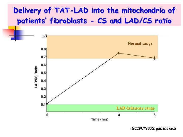 Delivery of TAT-LAD into the mitochondria of patients’ fibroblasts - CS and LAD/CS ratio