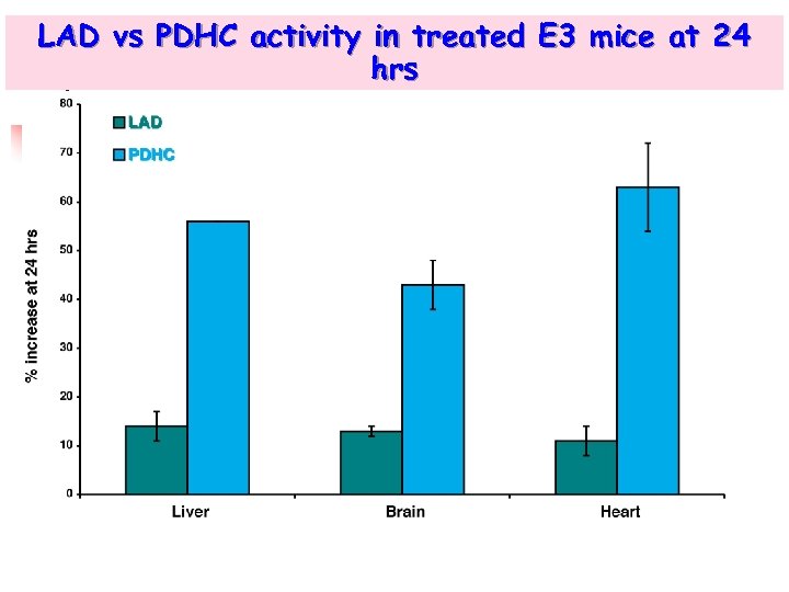 LAD vs PDHC activity in treated E 3 mice at 24 hrs 