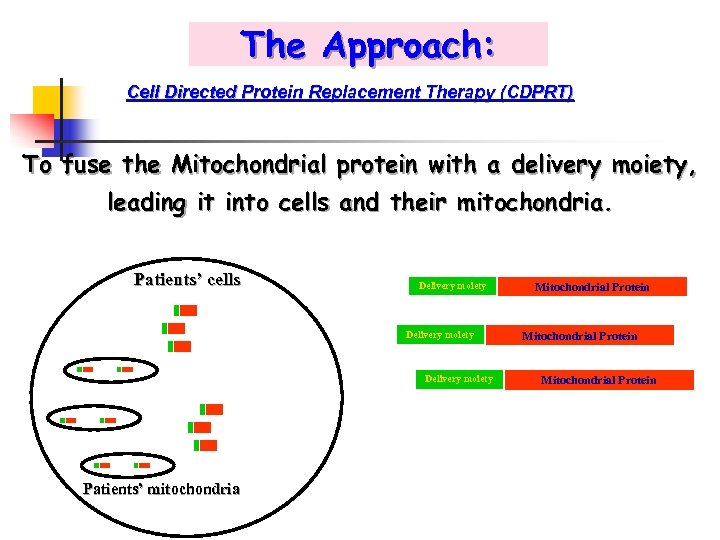 The Approach: Cell Directed Protein Replacement Therapy (CDPRT) To fuse the Mitochondrial protein with