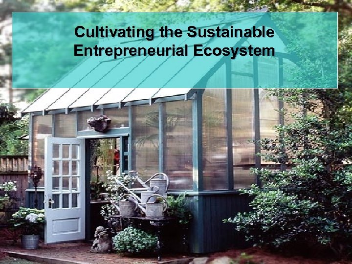 Cultivating the Sustainable Entrepreneurial Ecosystem 