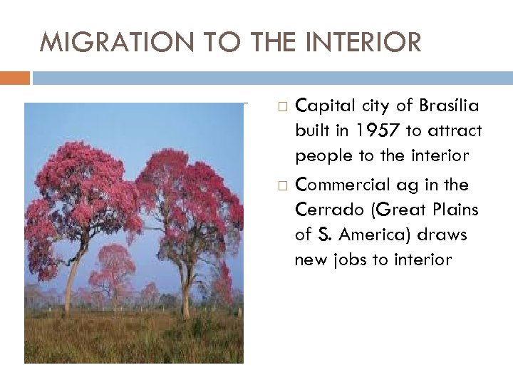 MIGRATION TO THE INTERIOR Capital city of Brasília built in 1957 to attract people