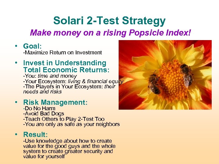 Solari 2 -Test Strategy Make money on a rising Popsicle Index! • Goal: -Maximize