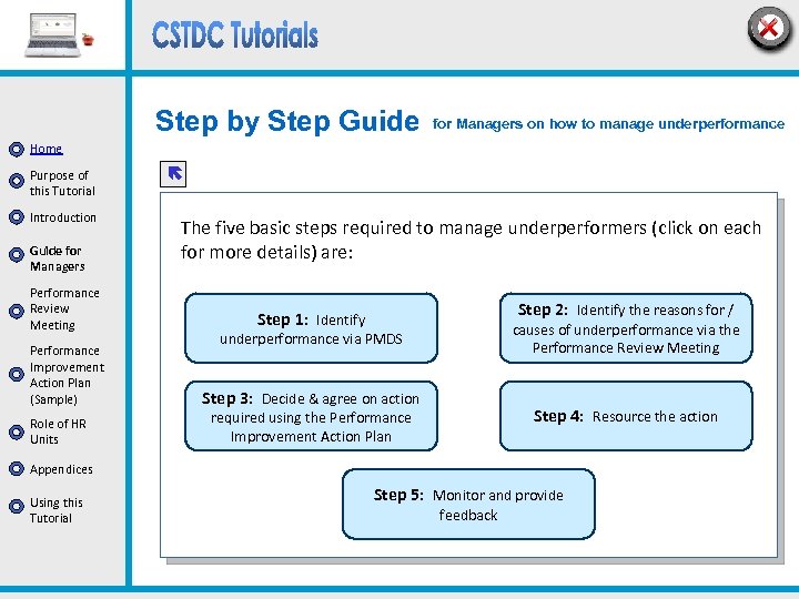 Step by Step Guide for Managers on how to manage underperformance Home Purpose of