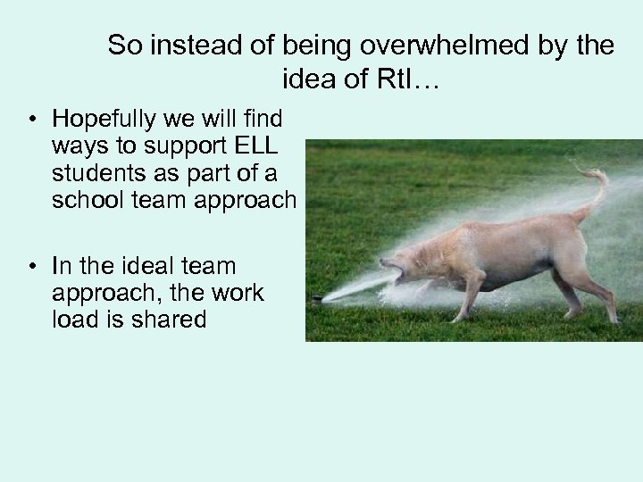 So instead of being overwhelmed by the idea of Rt. I… • Hopefully we