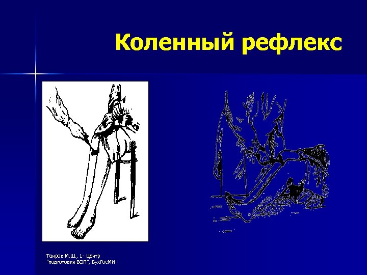 Коленный рефлекс Таиров М. Ш. , 1 - Центр 