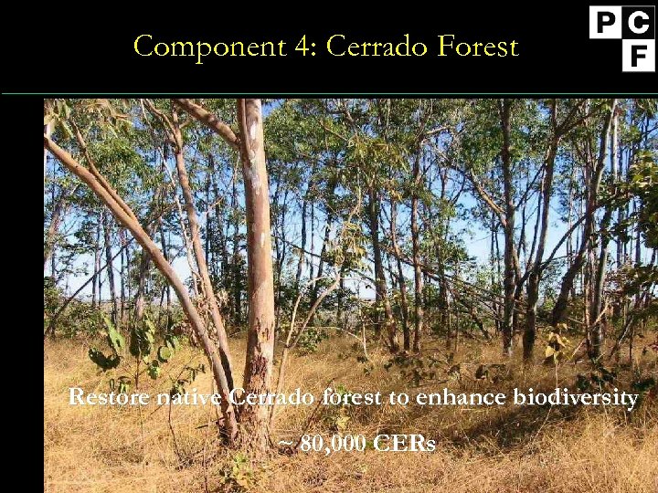Component 4: Cerrado Forest Restore native Cerrado forest to enhance biodiversity ~ 80, 000