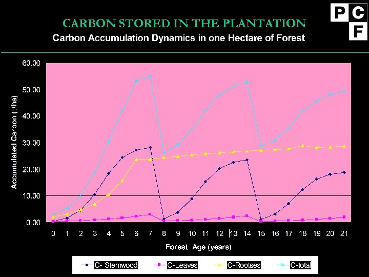 CARBON STORED IN THE PLANTATION 