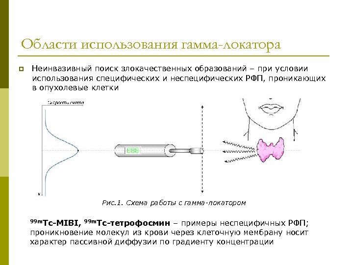 Области использования гамма-локатора Неинвазивный поиск злокачественных образований – при условии использования специфических и неспецифических