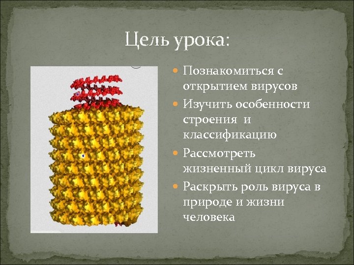 Цель урока: Познакомиться с открытием вирусов Изучить особенности строения и классификацию Рассмотреть жизненный цикл