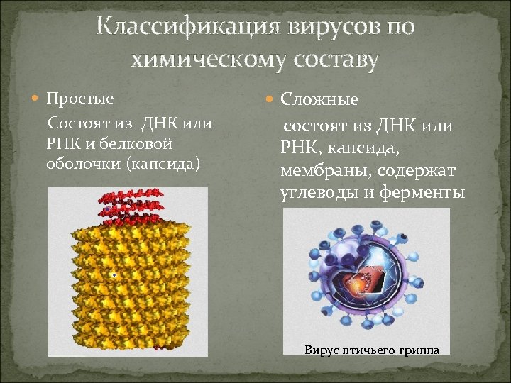 Классификация вирусов по химическому составу Простые Состоят из ДНК или РНК и белковой оболочки